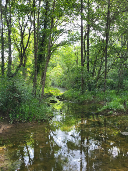 Balade à Aubussargues au bord de la rivière Bourdic.