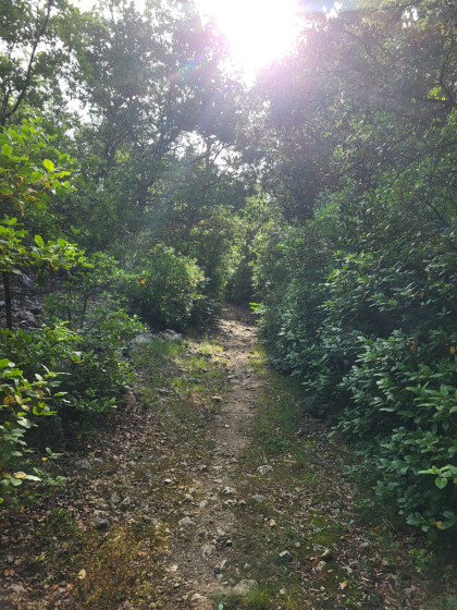 Balade &agrave; Aubussargues au bord de la rivi&egrave;re Bourdic.