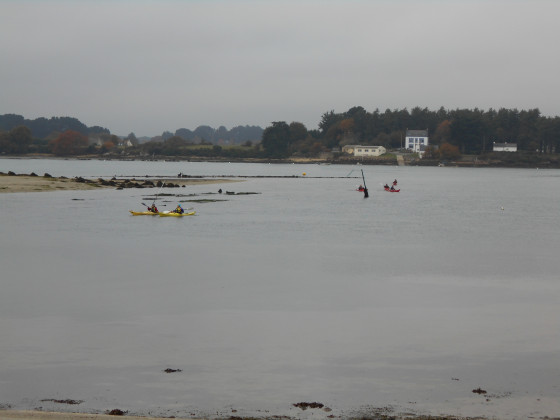Balade en kayak en ria d\'Etel.