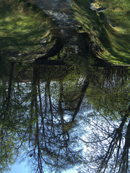 Balade le long du ruisseau