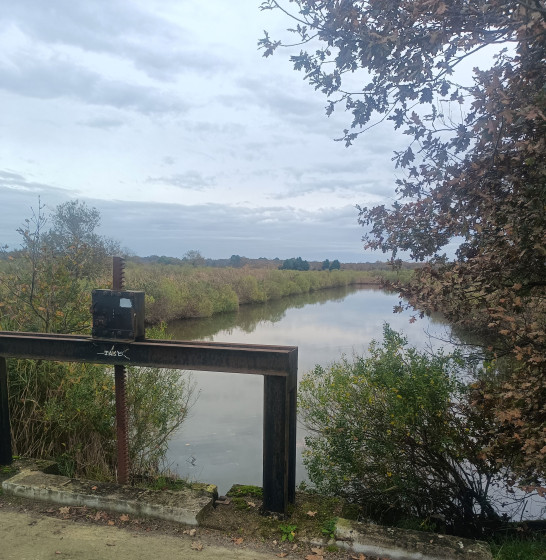 Canal