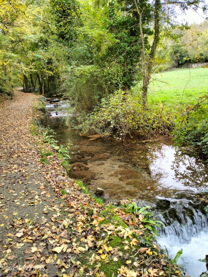 Balade romantique sur le chemin des cascades