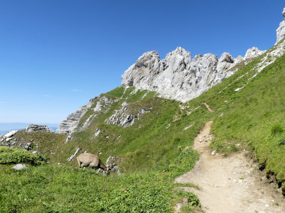 Balcon de la Tournette