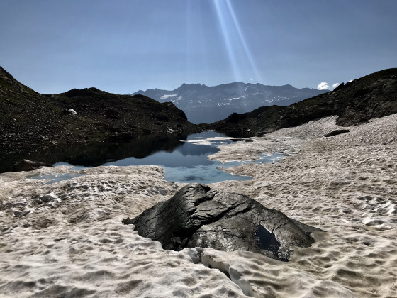 Baleine à bosse dans le Lac de Belledonne