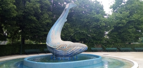 Baleine