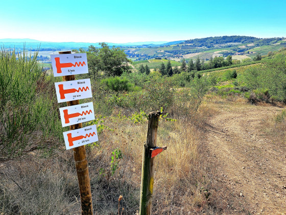 balisage avec le symbole du tire bouchon orange