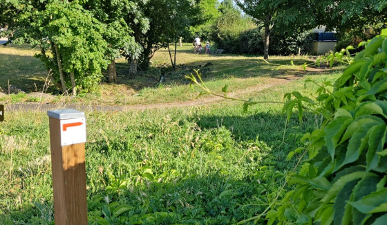 A faire : Autour de Pruillé-le-Chétif, circuit Rouge - Randonnée