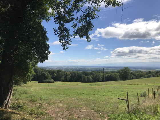 Point de vue sur la plaine, vue sur Obernai