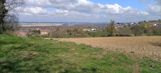 Bamlach et la plaine du Rhin
