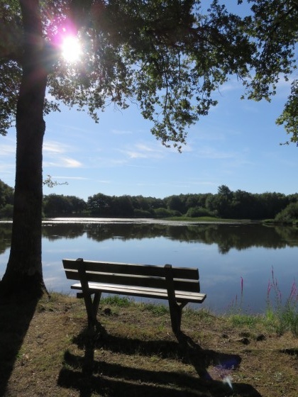 Banc au bord de l'étang Mouton à Migné