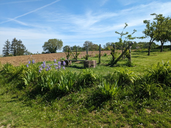 Banc au sommet du chemin