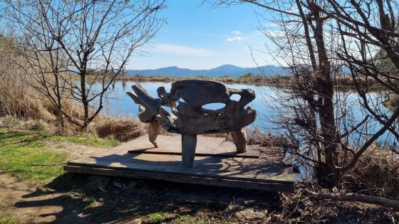 Banc sculpté situé devant l'étang