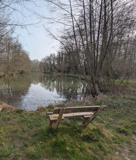 banc