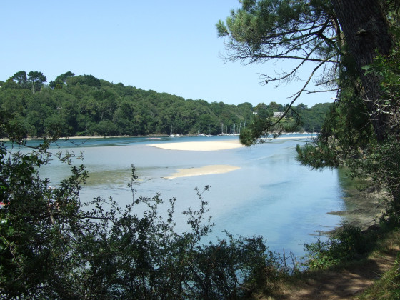 Bancs de sable entre les deux chenaux