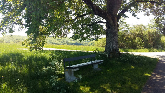 Banc au bord du chemin