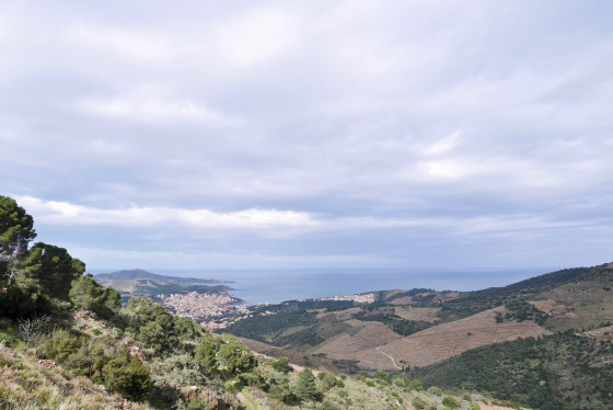 Banyuls-sur-mer