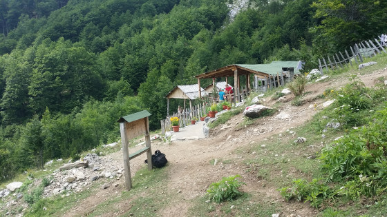 Bar camping Krojnat