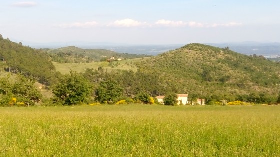 Bar&ecirc;me