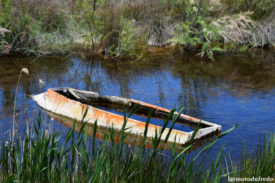 Barque