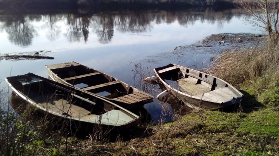 Barques