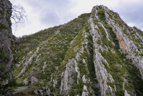 Barre de Melle