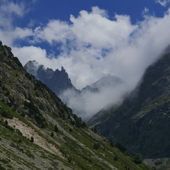 Barre des Ecrins