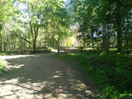 Barrière de bois