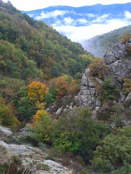 Bas du sentier des granges