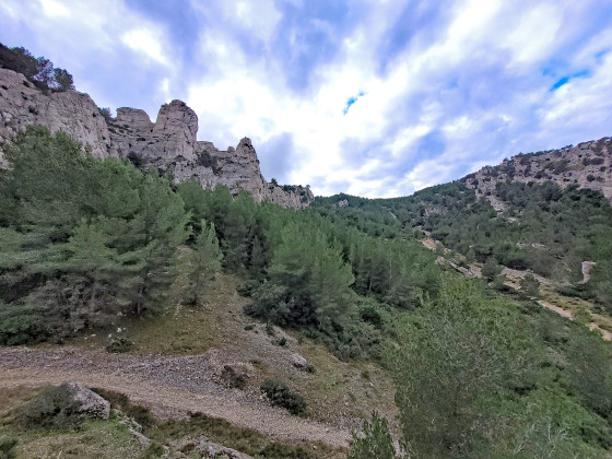 bas du vallon de Fauconni&egrave;re