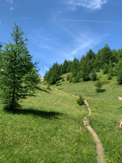Bas vallon de Muretier