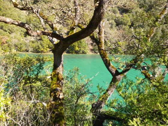 basses-gorges du Verdon