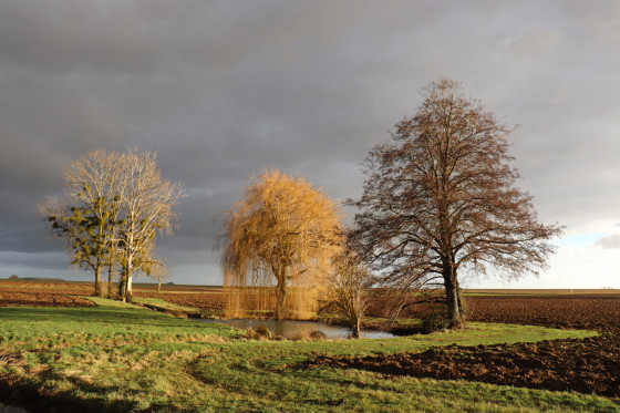 Bassin aménagé au milieu des champs
