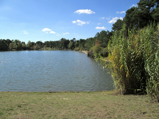 Le bassin de Cap de Bos
