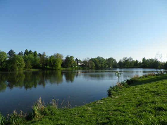 Bassin de la Boissière à Elancourt