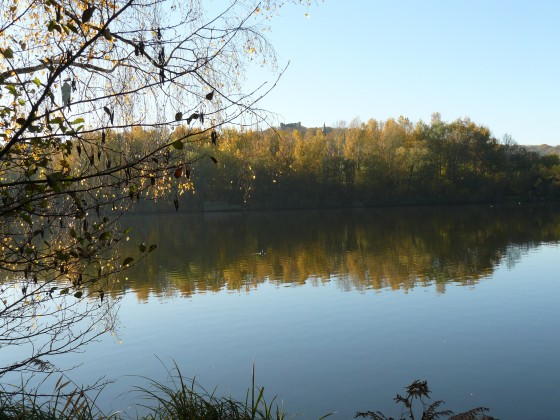 Bassin de la Courance