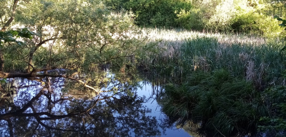 Bassin de la Noisette