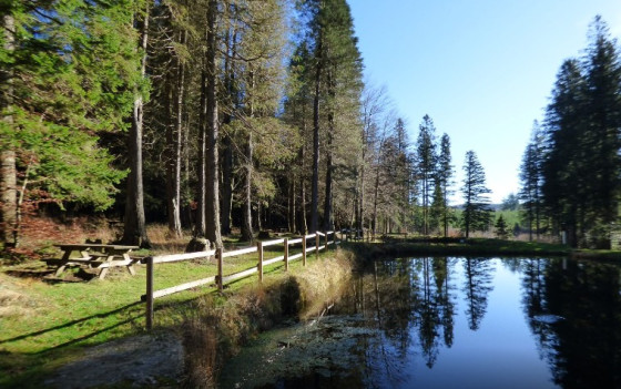 Bassin de Poutras