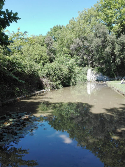 bassin