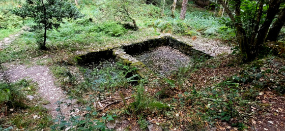 Bassins de la Fontaine de Plaçamen