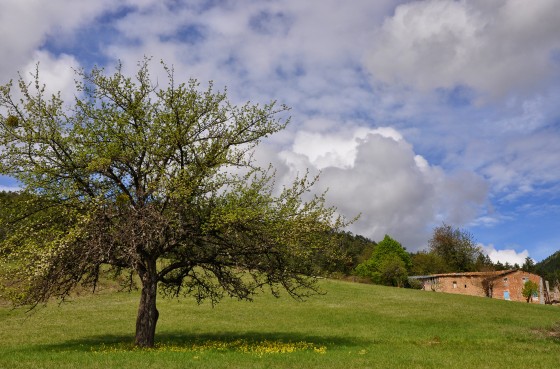 Bastide Neuve
