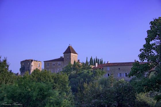 Bazian
