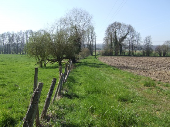 Bazoches sur Guyonne - en direction du gué
