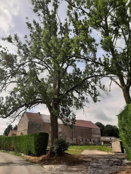Beau bâtiment de ferme