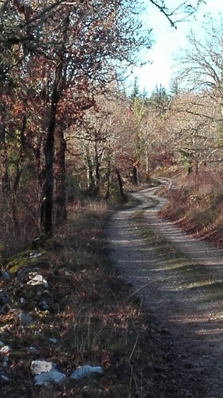 Beau chemin de Cremps