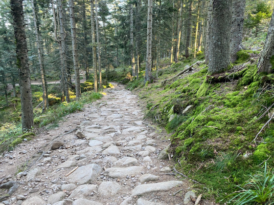 Beau chemin empierré pour accéder au Lac noir