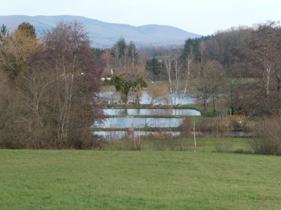 Beau paysage avec des étangs