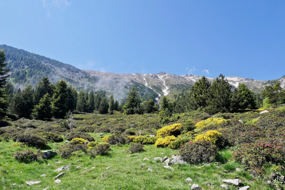 Beau paysage printanier sous le Puig Sec