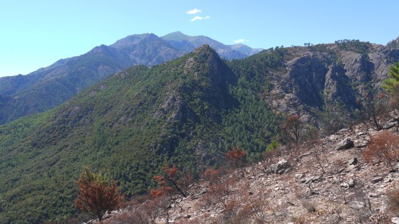 Beau paysage qui devient une désolation dû à l\'inconscience humaine