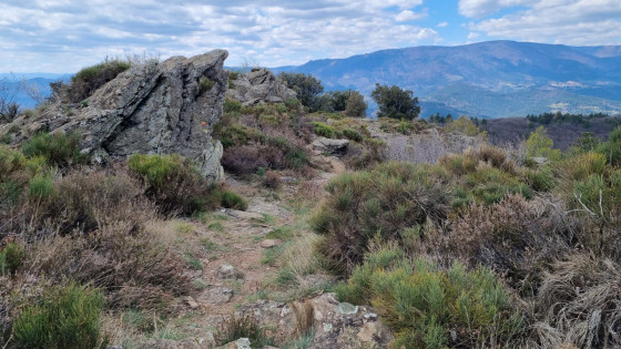Beau sentier à l'approche du sommet de la Loubière