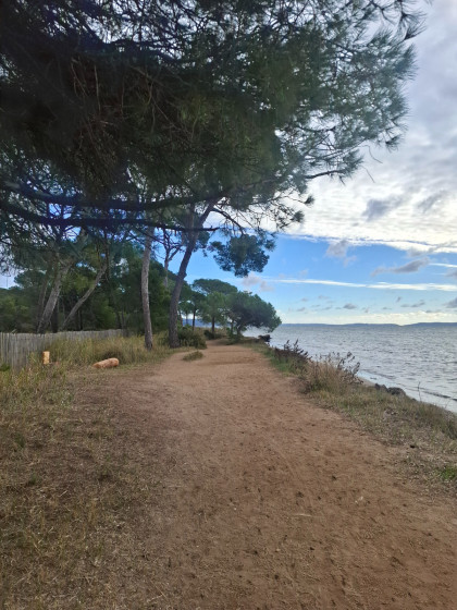 Beau sentier bordant la mer